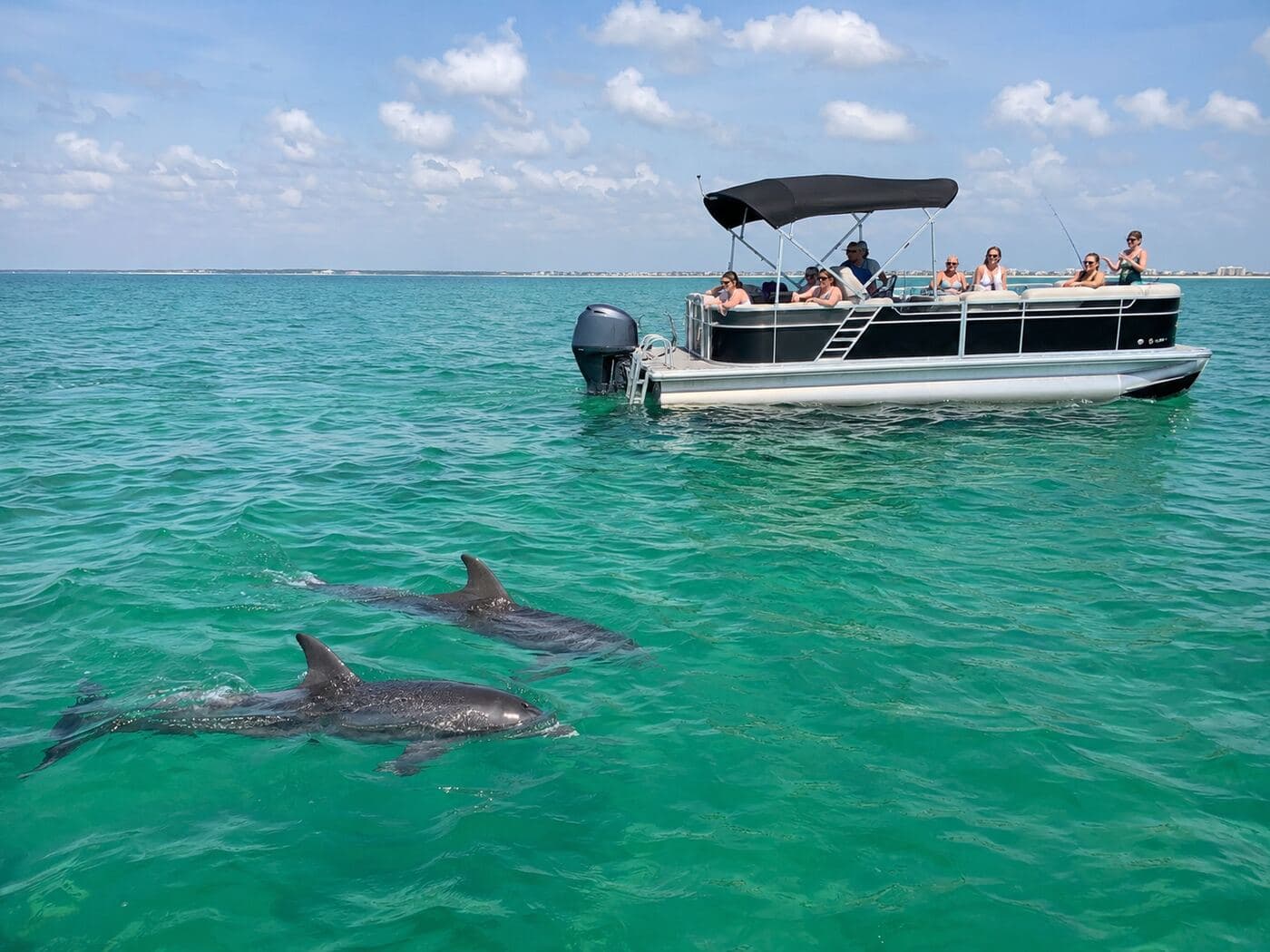 Dolphin tour on the Gulf near Panama City Beach