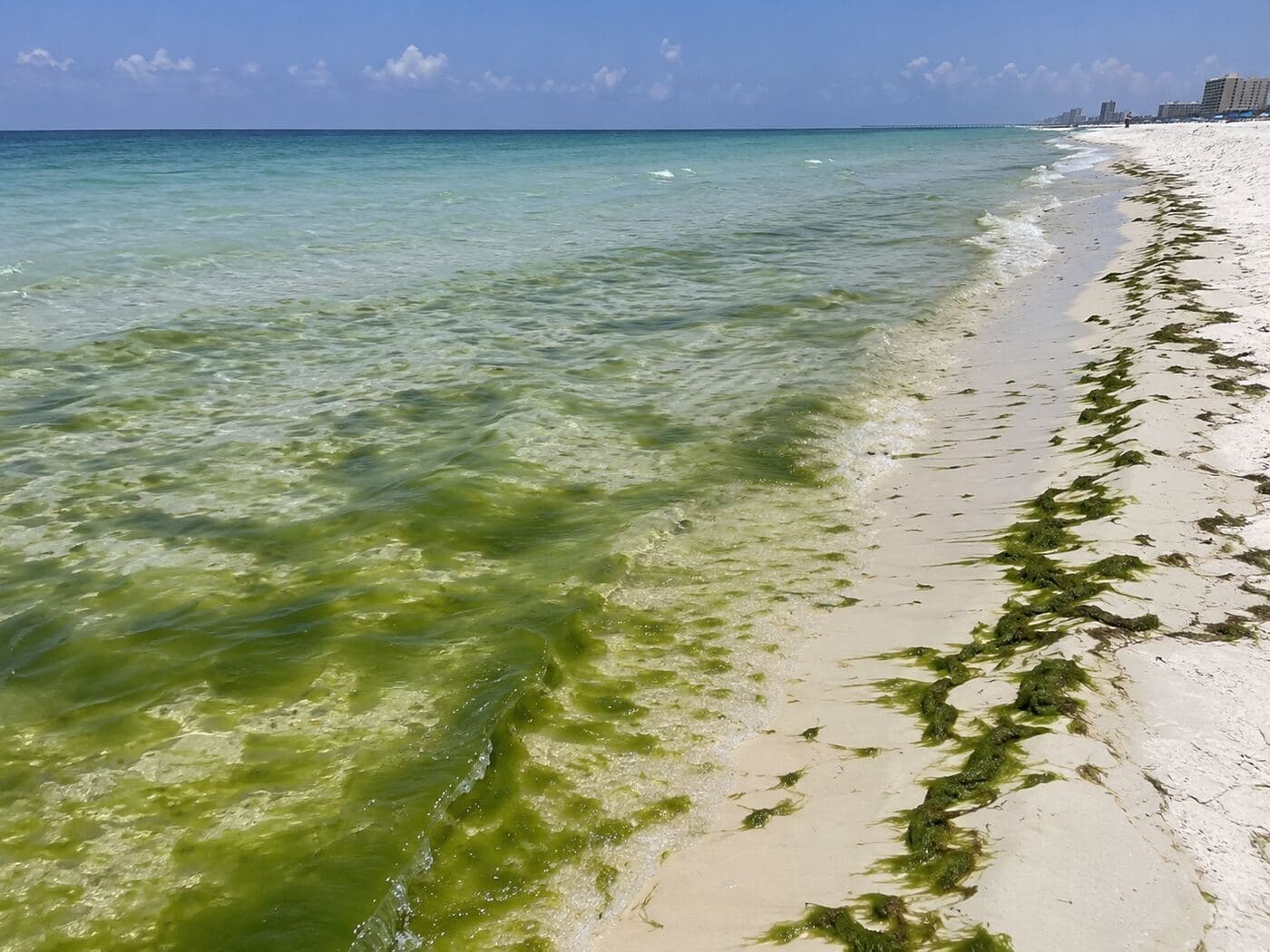 Budget-friendly day on Panama City Beach
